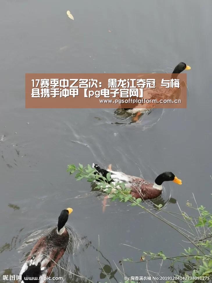 17赛季中乙名次:黑龙江夺冠 与梅县携手冲甲【pg电子官网】(图1) pg电子模拟器