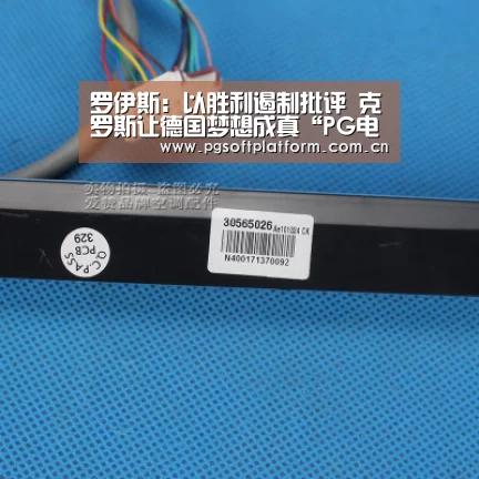 罗伊斯:以胜利遏制批评 克罗斯让德国梦想成真“PG电子免费试玩”(图3) pg电子模拟器