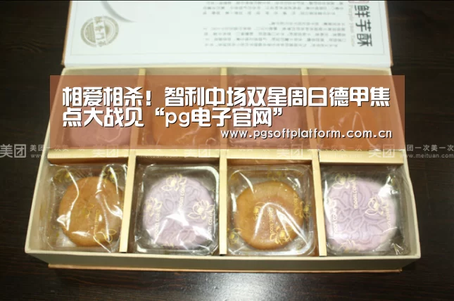 相爱相杀!智利中场双星周日德甲焦点大战见“pg电子官网”(图4) pg电子模拟器