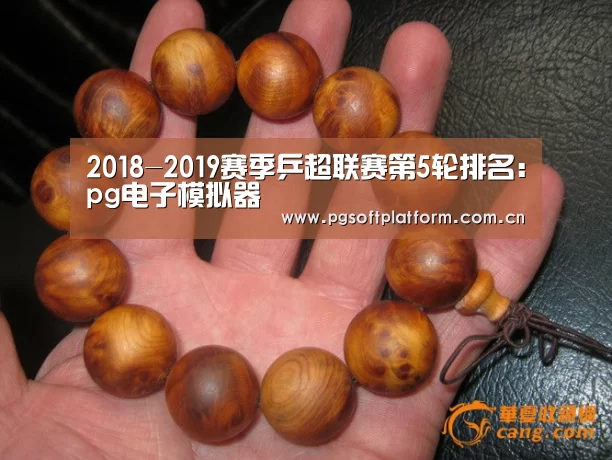 2018-2019赛季乒超联赛第5轮排名:pg电子模拟器(图4) pg模拟器