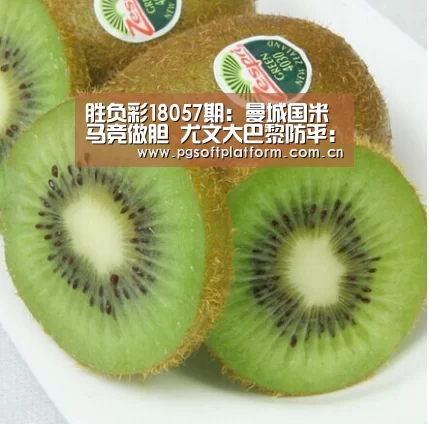 pg电子官网