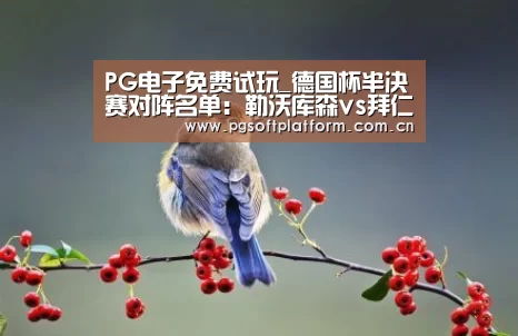 PG电子免费试玩_德国杯半决赛对阵名单:勒沃库森vs拜仁(图2) pg电子官网