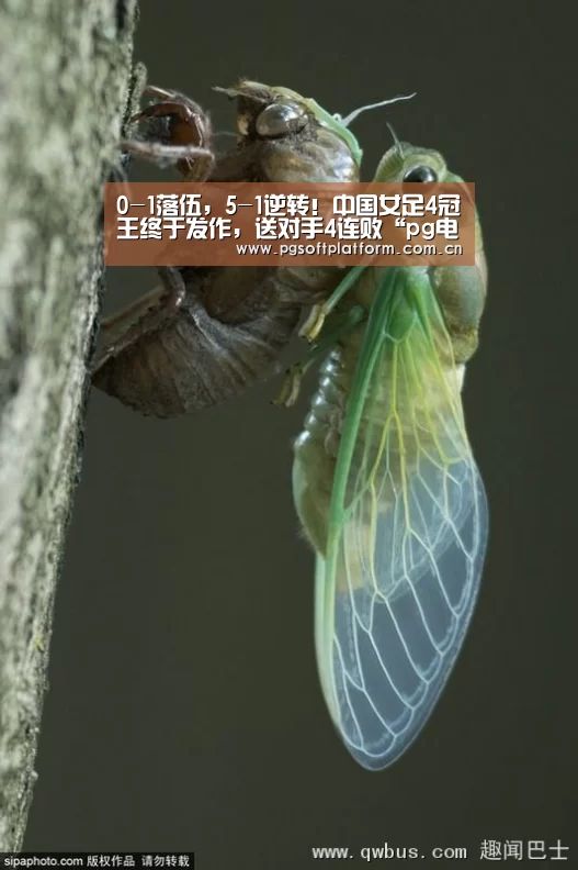 0-1落伍,5-1逆转!中国女足4冠王终于发作,送对手4连败“pg电子模拟器”(图3) pg电子官网