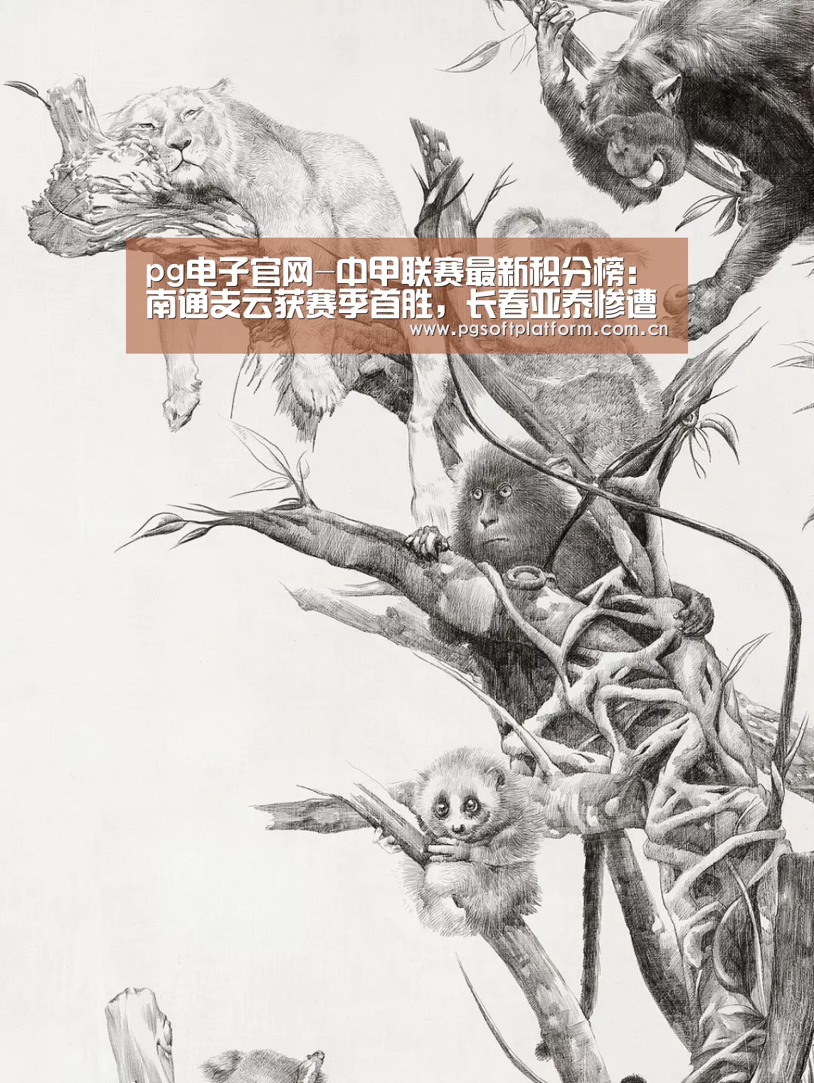 pg电子官网-中甲联赛最新积分榜:南通支云获赛季首胜,长春亚泰惨遭爆冷!(图2) pg电子模拟器