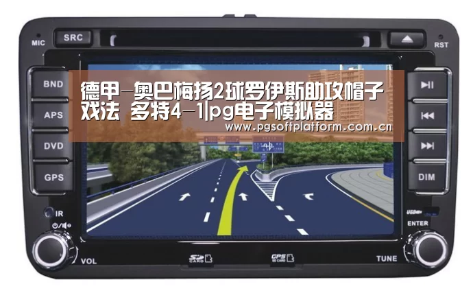 pg模拟器