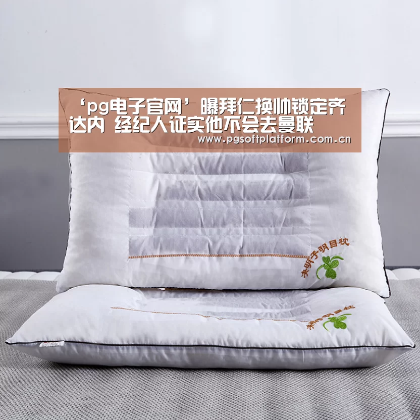 pg模拟器